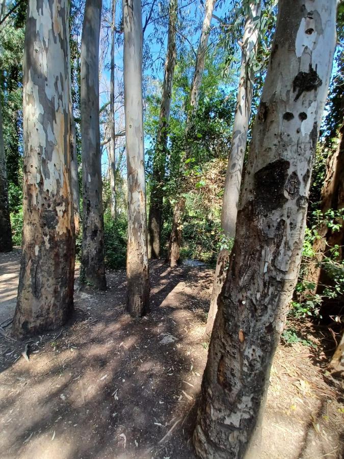 Vila Casa Sendero Del Rio El Bosque Exteriér fotografie